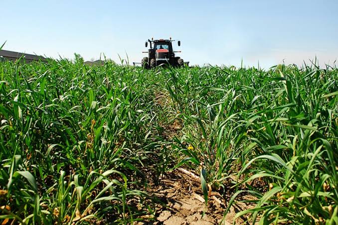 Feed and crop supplies